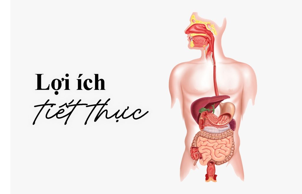 Tiết thực giúp xây dựng lại hệ thống tiêu hóa